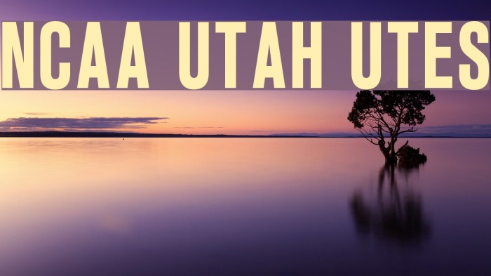NCAA Utah Utes Font examples