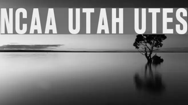 NCAA Utah Utes Example 2