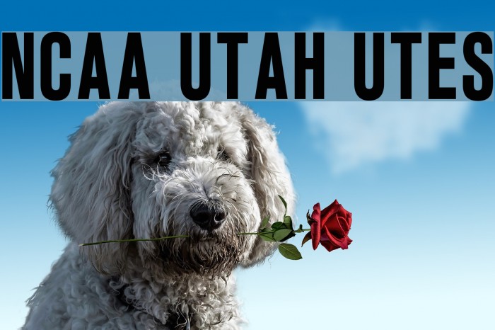 NCAA Utah Utes Font examples