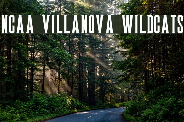 NCAA Villanova Wildcats 字体 examples