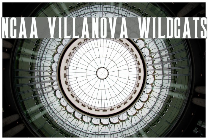 NCAA Villanova Wildcats 字体 examples
