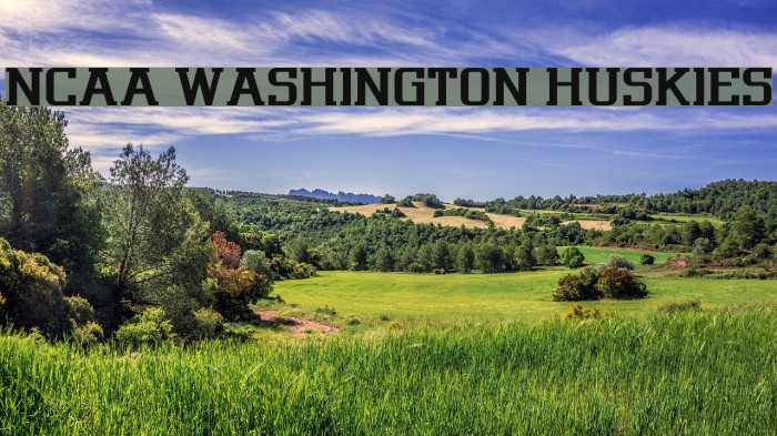 NCAA Washington Huskies Font examples