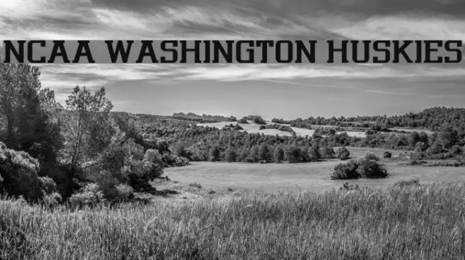 NCAA Washington Huskies Example 1