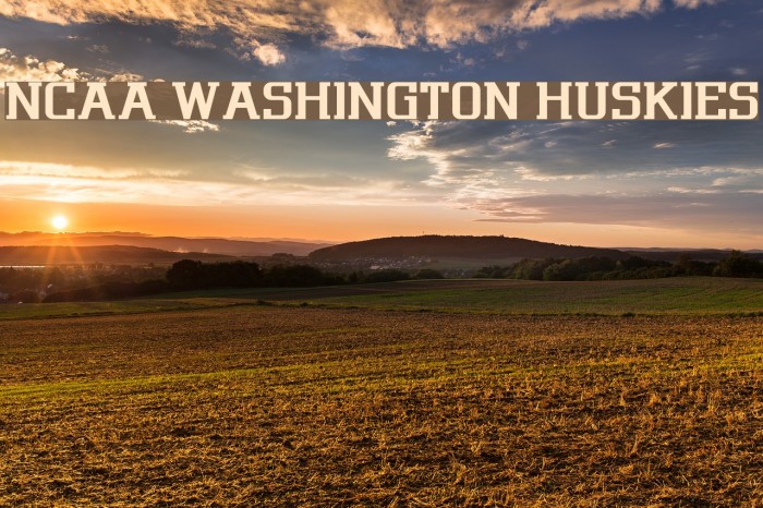 NCAA Washington Huskies Font examples