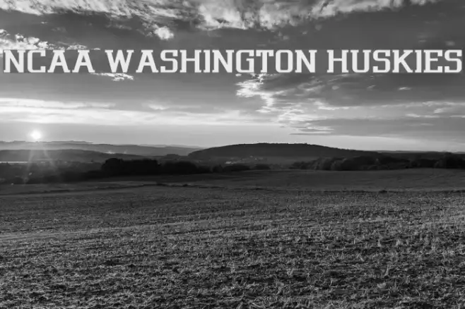NCAA Washington Huskies Example 2