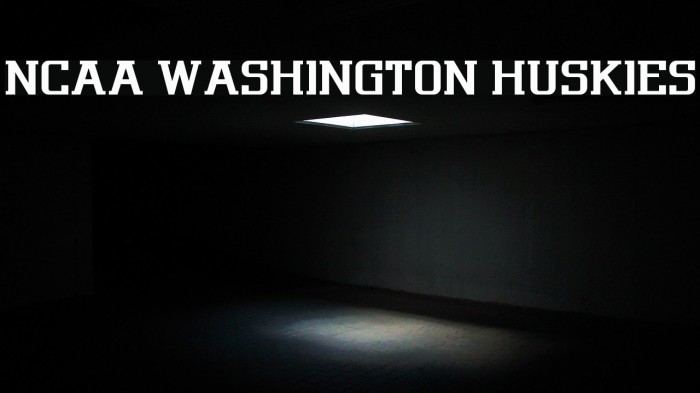 NCAA Washington Huskies Font examples