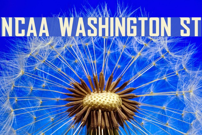 NCAA Washington St Font examples