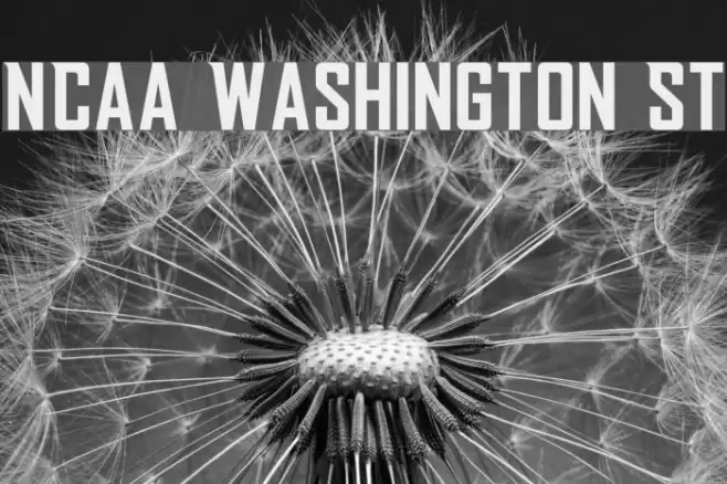 NCAA Washington St Font examples