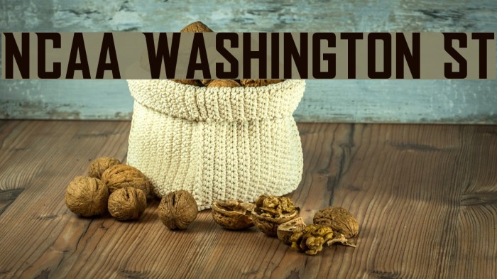NCAA Washington St Font examples