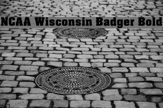 NCAA Wisconsin Badger Bold Font examples