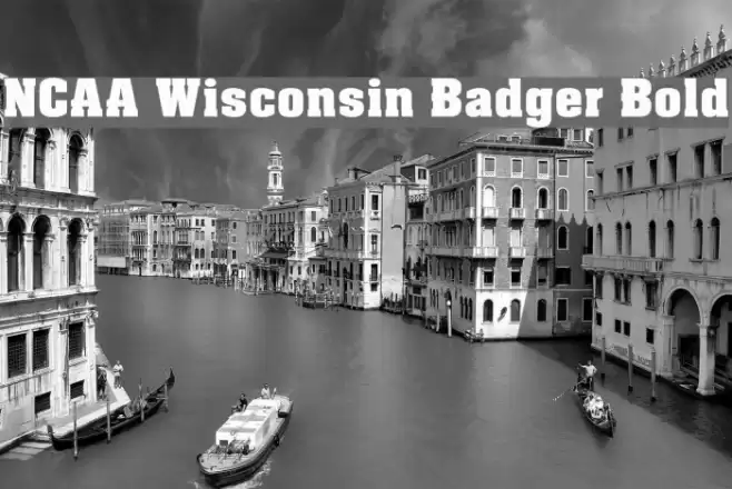 NCAA Wisconsin Badger Bold Font examples