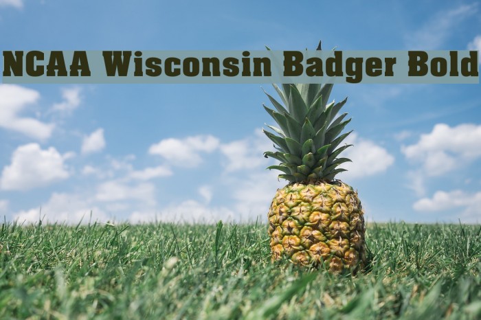 NCAA Wisconsin Badger Bold Font examples