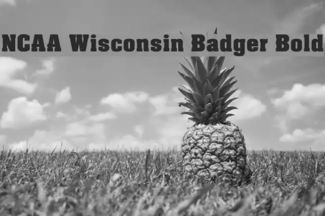 NCAA Wisconsin Badger Bold Font examples