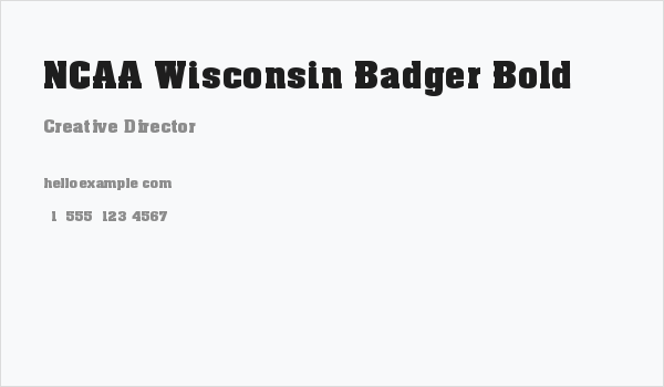 NCAA Wisconsin Badger Bold Business Card
