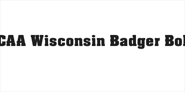 NCAA Wisconsin Badger Bold Logo
