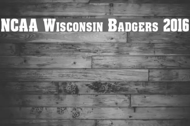 NCAA Wisconsin Badgers 2016 Font examples