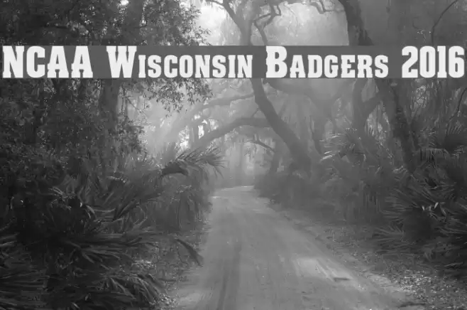 NCAA Wisconsin Badgers 2016 Font examples