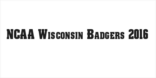 NCAA Wisconsin Badgers 2016 Logo
