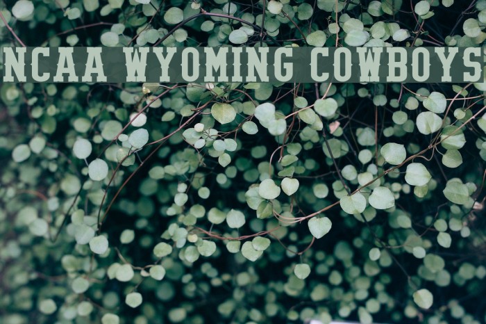 NCAA Wyoming Cowboys Font examples