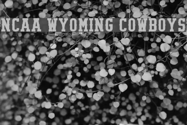NCAA Wyoming Cowboys Font examples