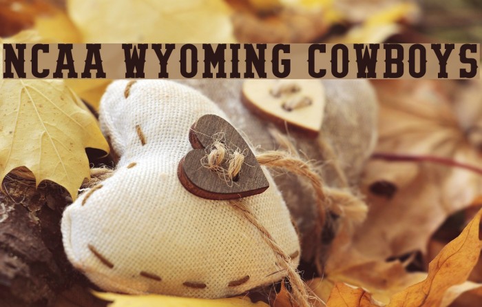 NCAA Wyoming Cowboys Font examples