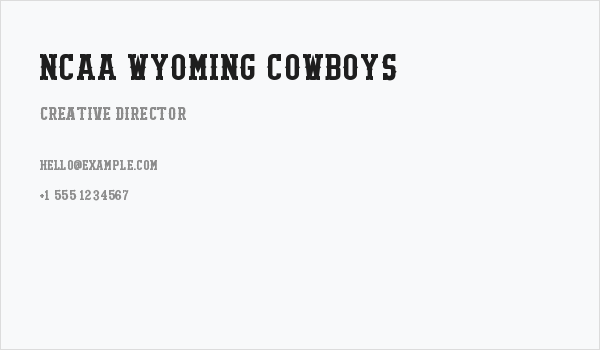 NCAA Wyoming Cowboys Business Card