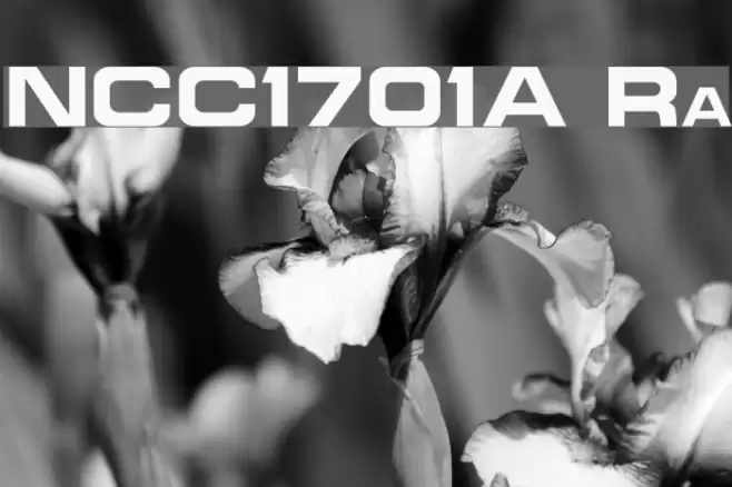 NCC1701A Regular Fonte examples