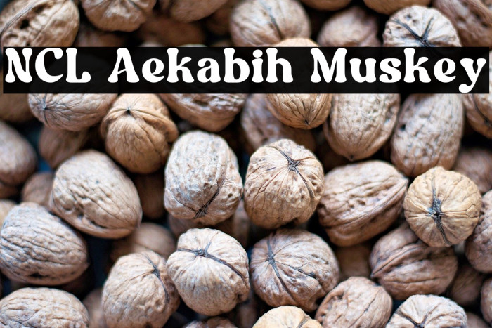 NCL Aekabih Muskey Example 2