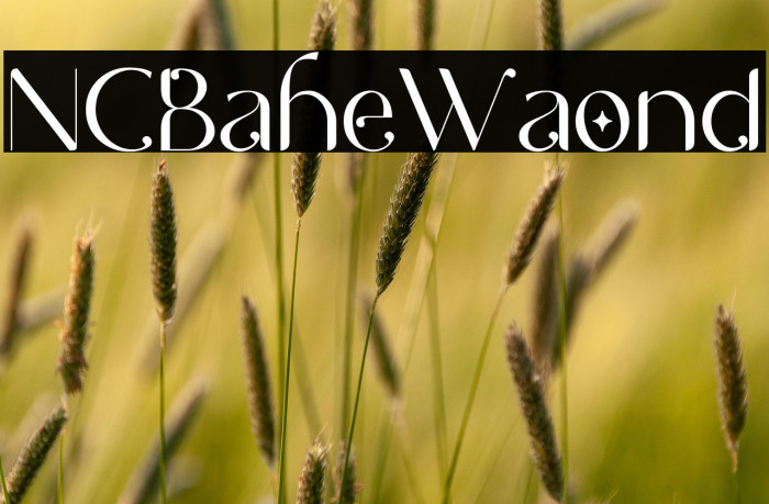 NCL Bahie Waonid Example 1