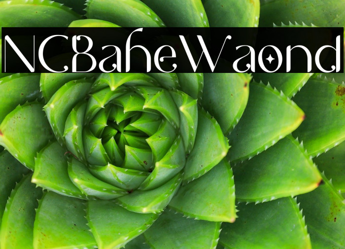 NCL Bahie Waonid Example 3