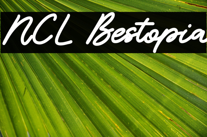 NCL Bestopia Example 1