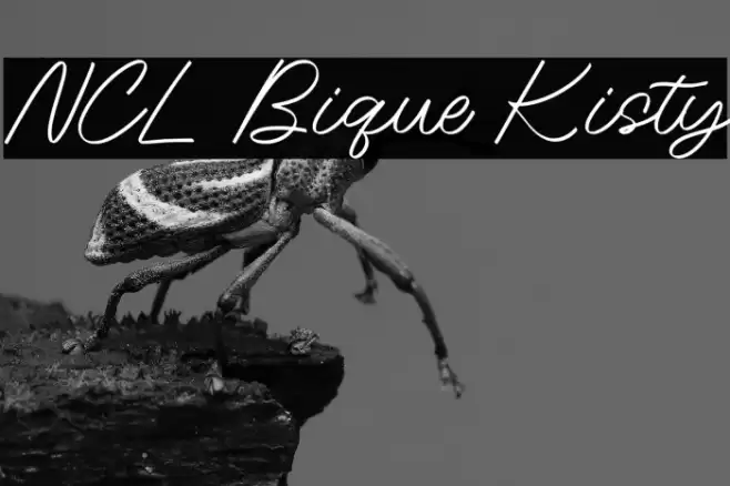 NCL Bique Kisty फ़ॉन्ट examples