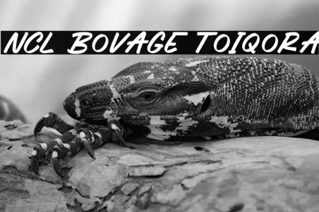 NCL Bovage Toiqora 字体 examples