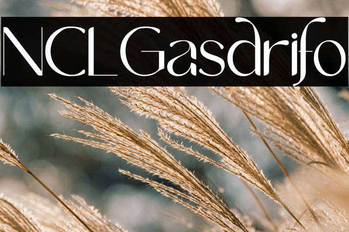 NCL Gasdrifo Example 1