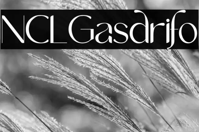 NCL Gasdrifo Example 1