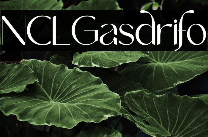 NCL Gasdrifo Example 2