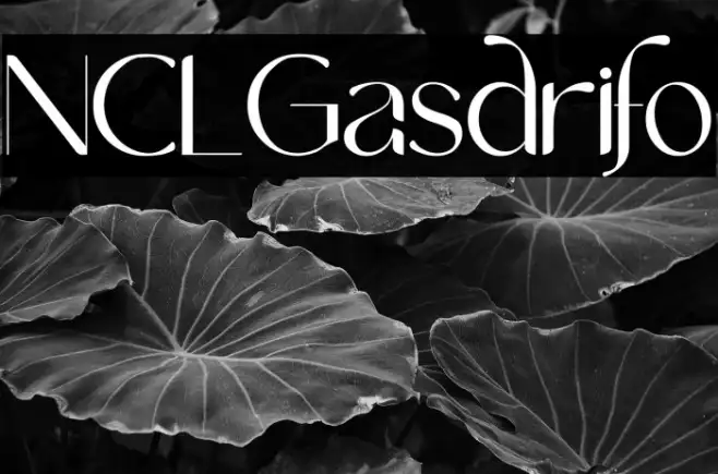 NCL Gasdrifo Example 2