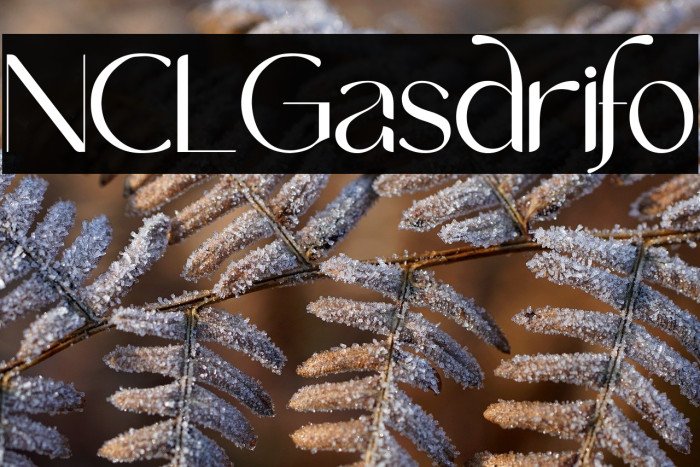 NCL Gasdrifo Example 3