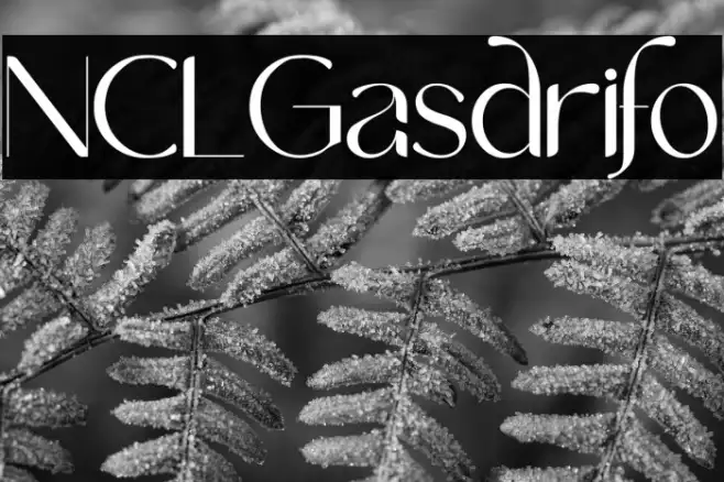 NCL Gasdrifo Example 3