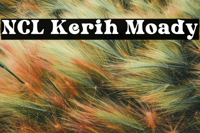 NCL Kerih Moady Example 1