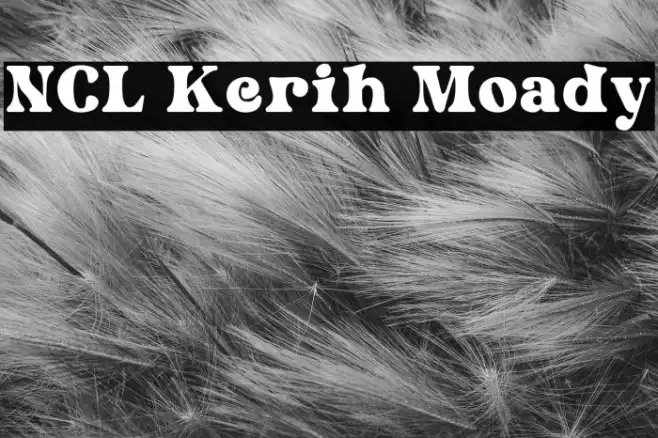 NCL Kerih Moady Example 1