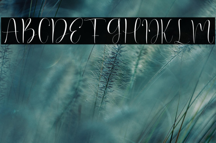 NCL Oesbeq Boopsy Demo フォント examples