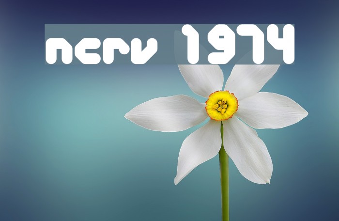NCRV 1974 Font examples