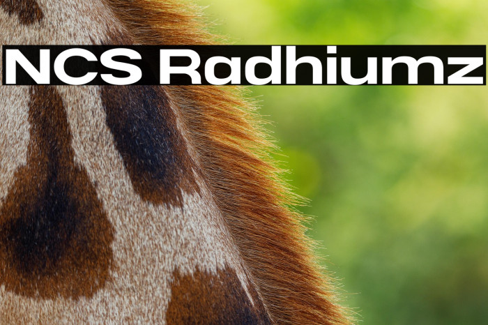 NCS Radhiumz Example 2