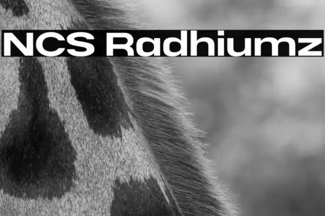 NCS Radhiumz Font examples