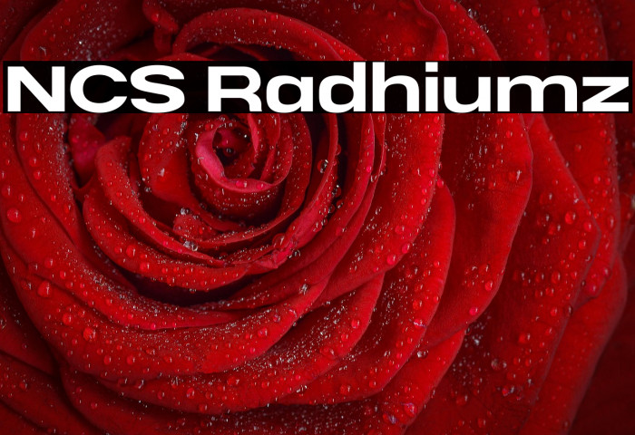 NCS Radhiumz Example 3