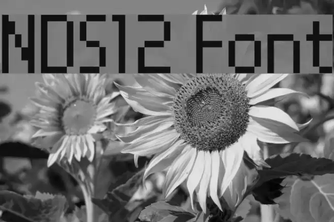 NDS12 Font examples