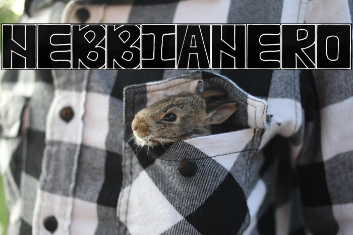 NEBBIANERO Example 3