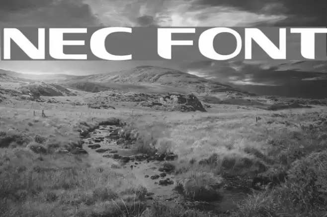 NEC Font examples