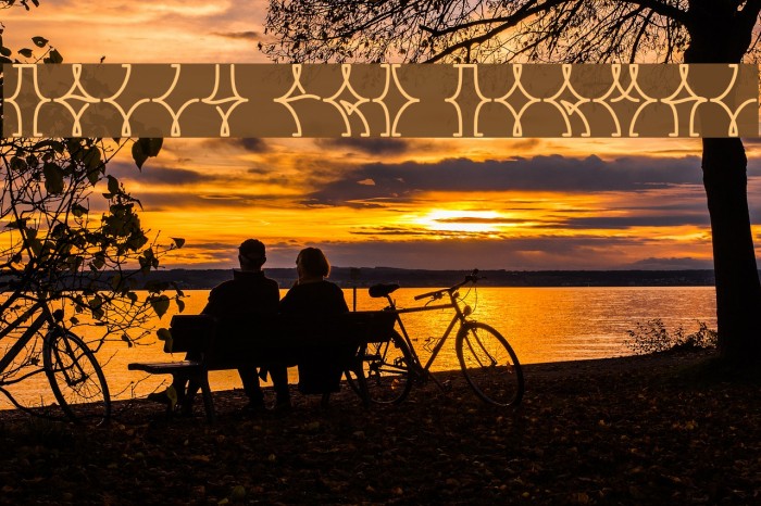 NELLY FRD Normal Example 2